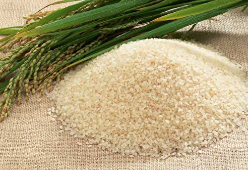 How to measure raw short-grain white rice | FreeFoodTips.com