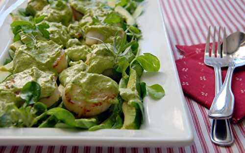 Chaud-froid of seared scallops and avocado