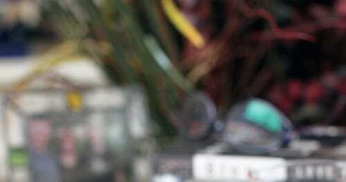 Gluten-Free Goddess Chocolate Chip Cookies