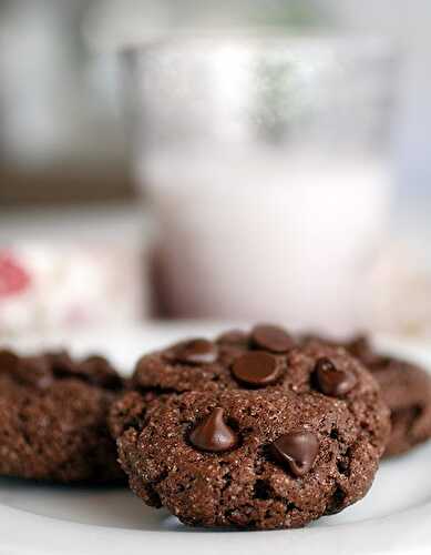 Gluten-Free Goddess Double Chocolate Chip Cookies 