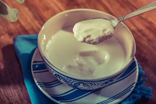 Skim Milk Creamy Yogurt Recipe. - Gluten Free Indian