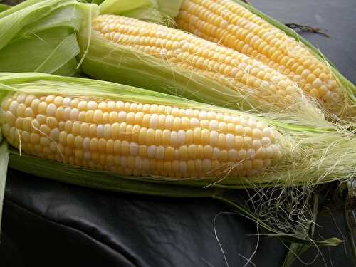 Great Fresh Corn Recipes