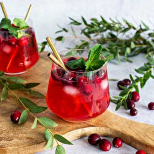 Cranberry Gin Tonic