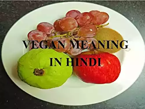 Vegan meaning in hindi