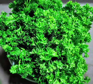 Parsley in hindi types and benefits