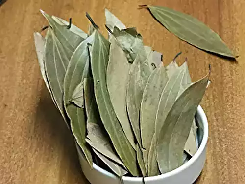 Tej Patta / Bay Leaf: A Chef's Complete Guide to India's Most Underrated Spice