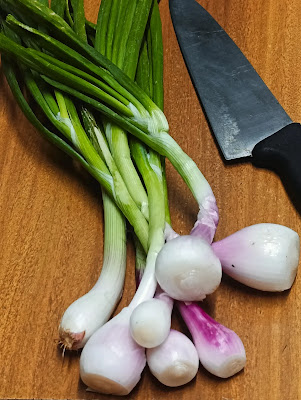 Spring Onion (Hara Pyaz): Benefits, Nutrition, Regional Names & How to Cut It