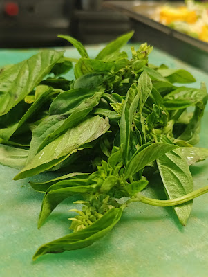 Basil Leaves — Complete Chef's Guide: Types, Uses, Storage, Nutrition and Benefits