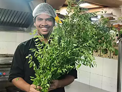 Curry Leaves: Benefits, Uses, Nutrition & Everything You Need to Know