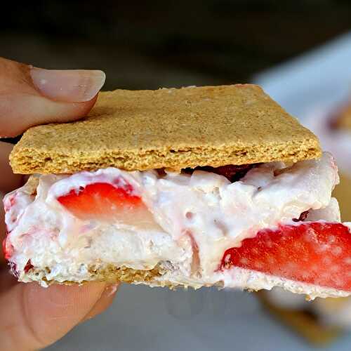 Graham Cracker Ice Cream Sandwich