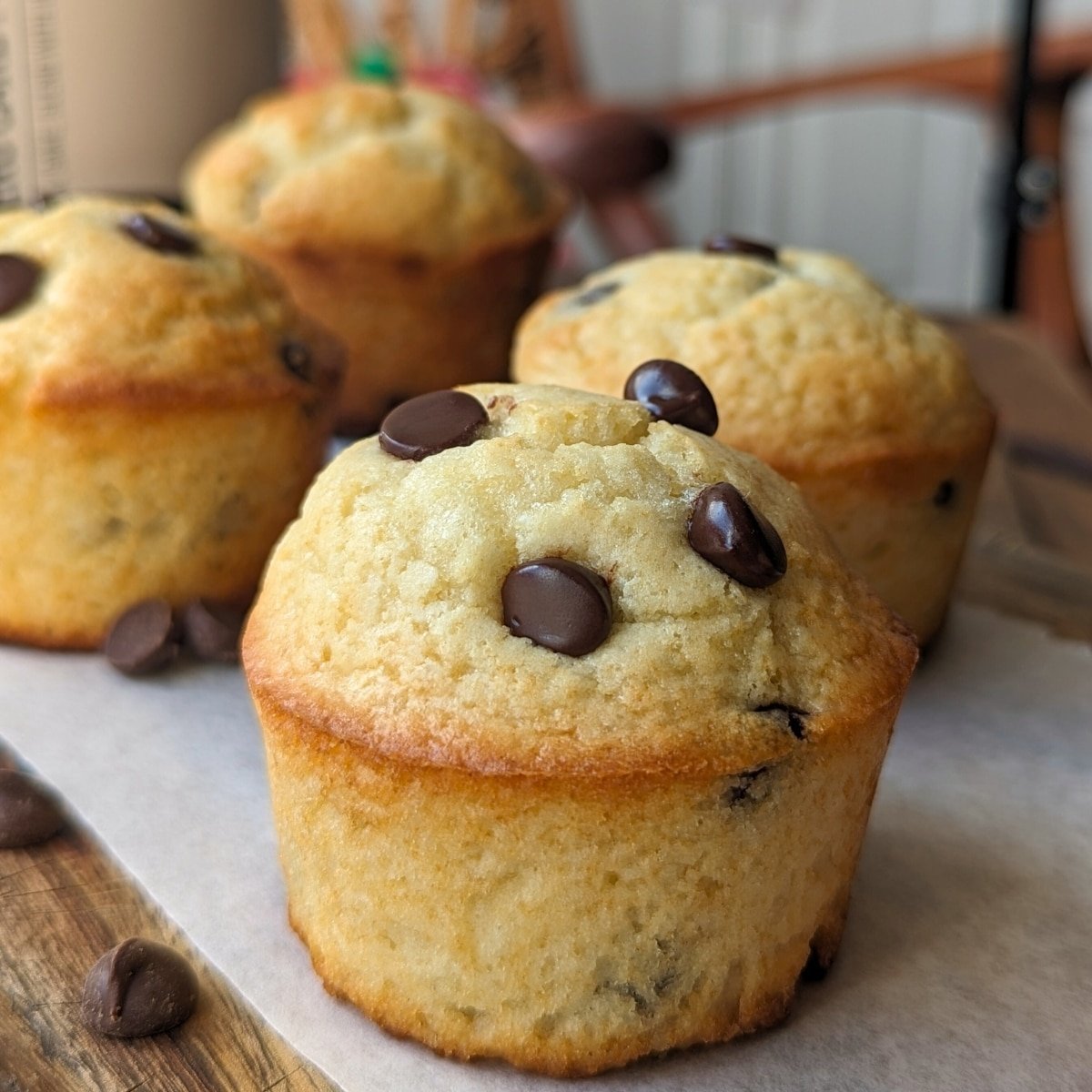 Protein Chocolate Chip Muffins