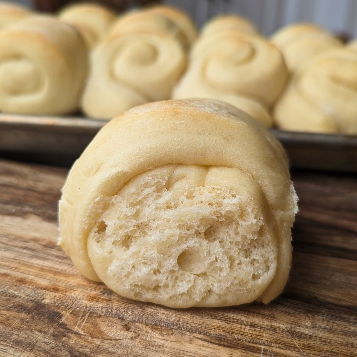 Classic Homemade Dinner Rolls