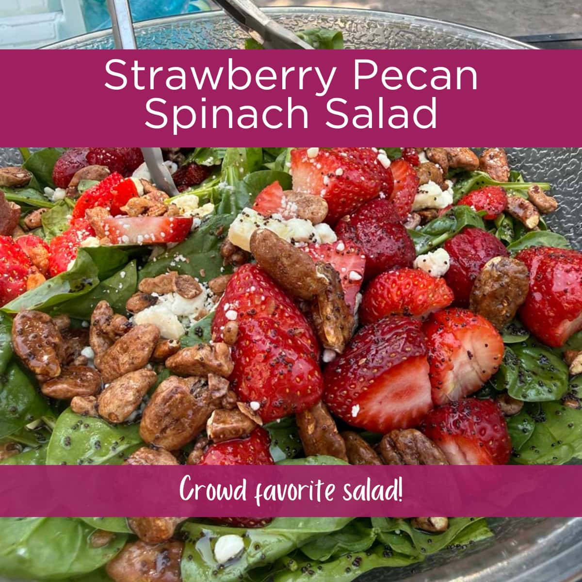 Strawberry Pecan Spinach Salad with Homemade Poppyseed Dressing