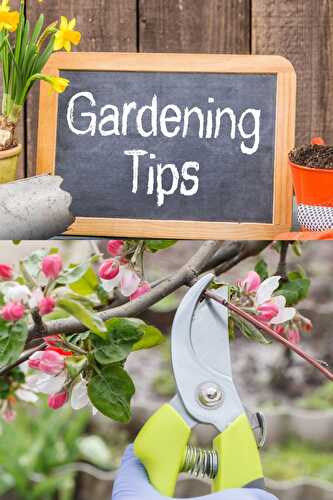 10 Organic Gardening Hacks That Will Make Your Life Easier - Healthier Steps