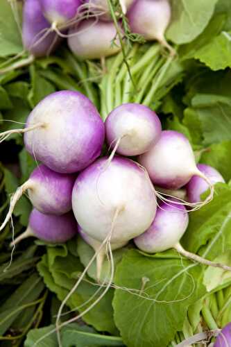 Are Turnips Good For You? - Healthier Steps