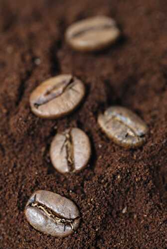 Coffee Grounds Compost - Healthier Steps
