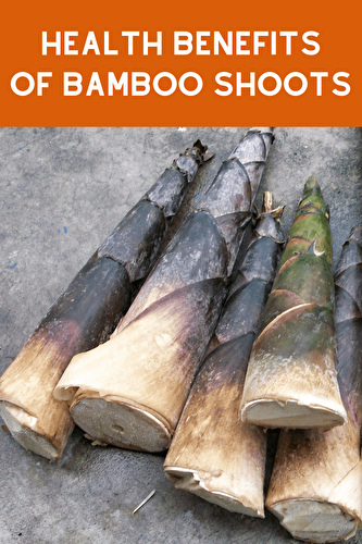Health Benefits of Bamboo Shoots - Healthier Steps