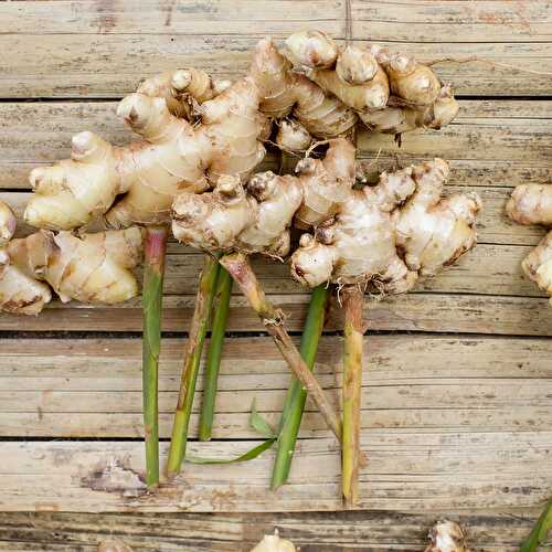 How To Grow Ginger Organically: A Gardeners Guide - Healthier Steps
