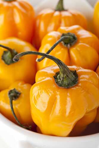 Scotch Bonnet Pepper - Healthier Steps