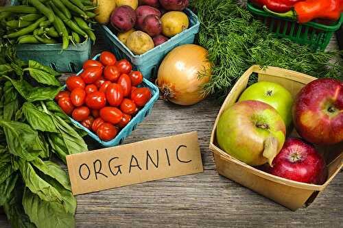 The Benefits of Organic Farming: A Comprehensive Look - Healthier Steps