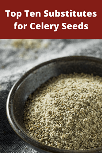 Top Ten Substitutes for Celery Seeds - Healthier Steps
