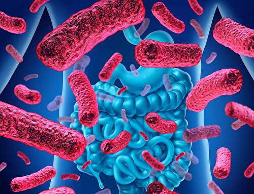 What Is The Fastest Way To Heal Leaky Gut? - Healthier Steps