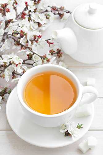 15 Benefits of Mullein Tea