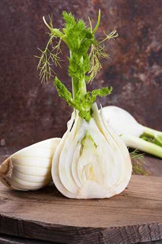 How to Grow Fennel