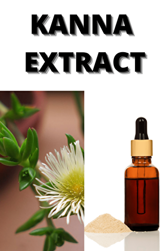 Kanna Extract: Everthing you Need to Know