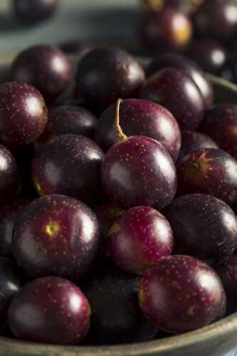Muscadine Grapes Benefits