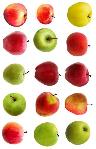 Top 9 Types of Apples You Should Know
