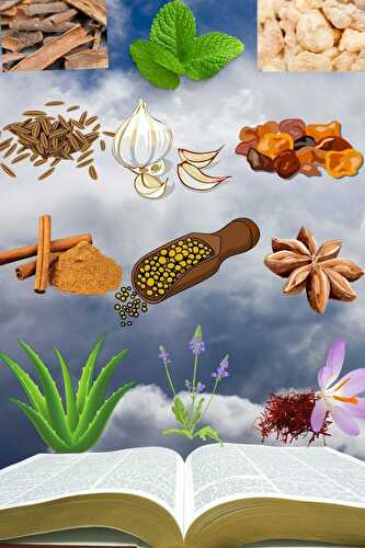 The 12 Healing Herbs of the Bible
