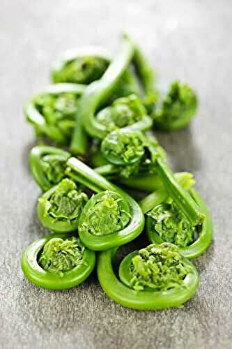 Fiddleheads: The Underrated Spring Vegetable
