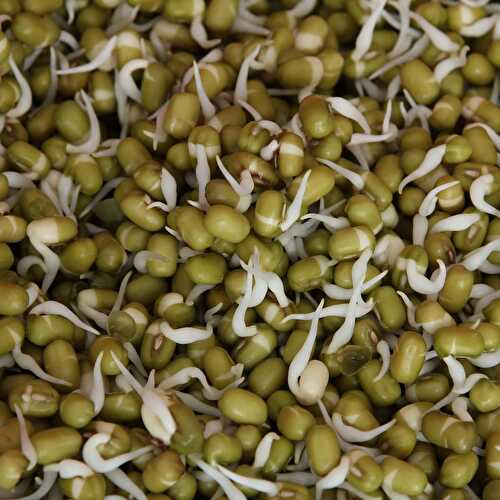 Mung Bean Sprouts Nutrition and Health Benefits