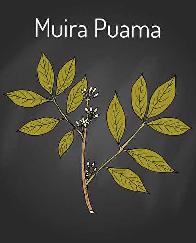 Muira Puama Health Benefits