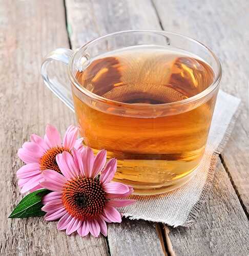 Top 10 Healthy Herbal Teas to Start Drinking Today