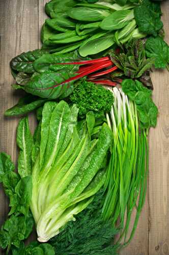 13 Healthiest Leafy Green Vegetables