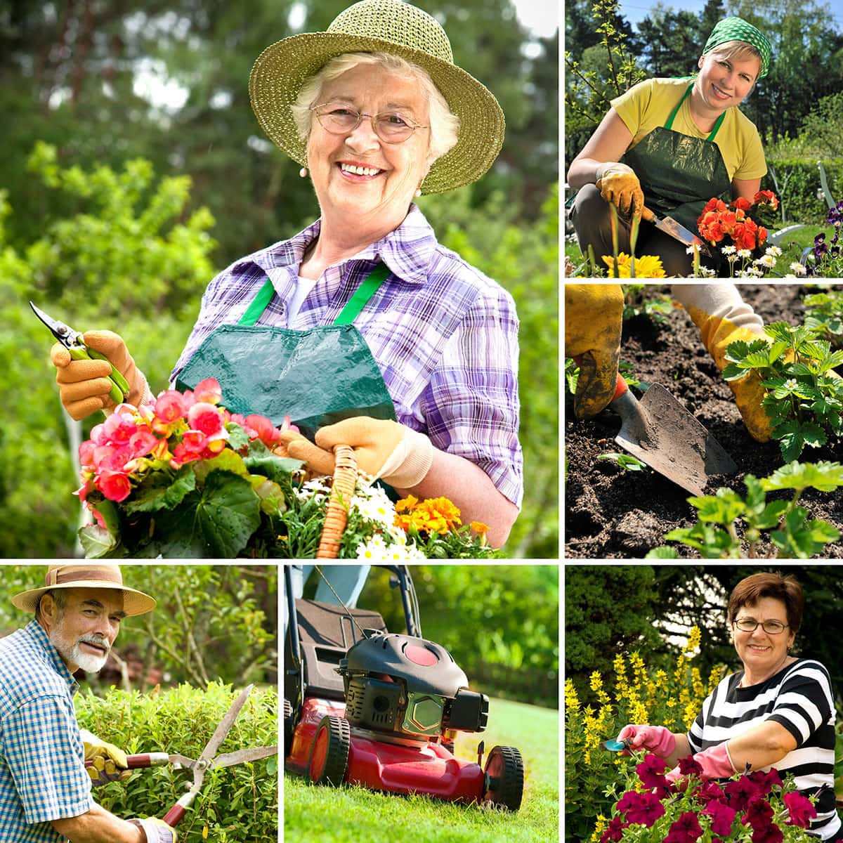 Green Therapy: How Gardening Can Improve Your Physical and Emotional Health?