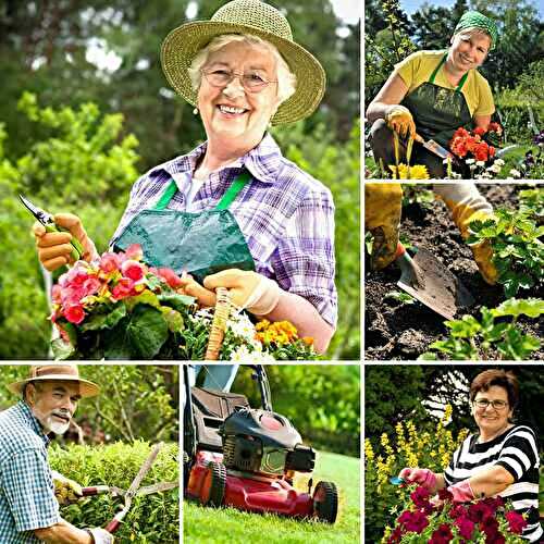 Green Therapy: How Gardening Can Improve Your Physical and Emotional Health?