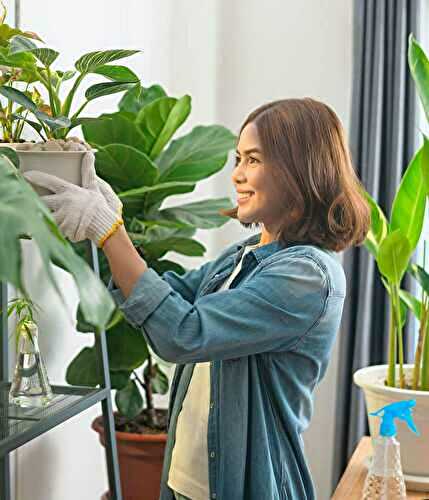 Tips On How To Start Gardening In Your Apartment