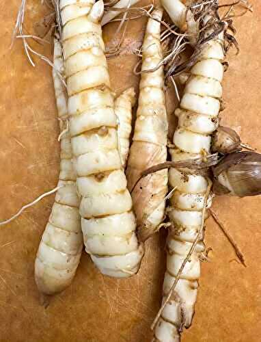 A Comprehensive Guide to Arrowroot Benefits