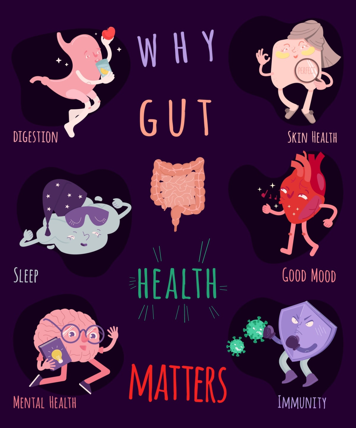 Why Is Gut Health Important?