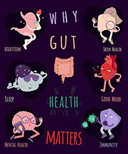 Why Is Gut Health Important?