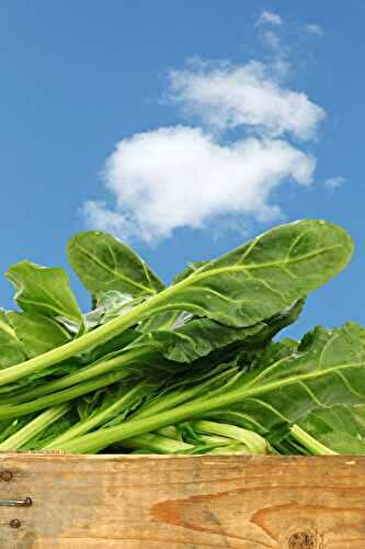 15 Health Benefits of Water Spinach (Ong Choy)