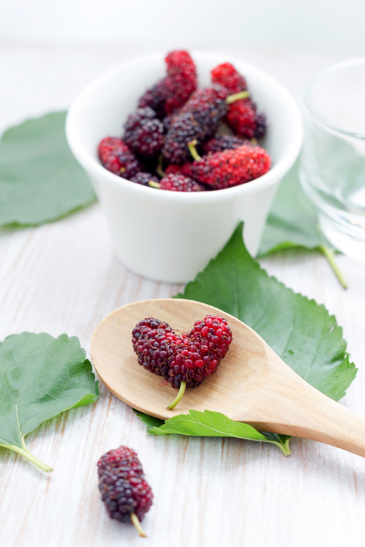 Amazing Mulberry Benefits for Skin Health