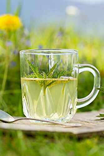 What is Nettle Tea Good For?
