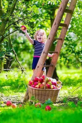 Growing Your Own Fruits: Tips for Successful Fruit Tree Cultivation