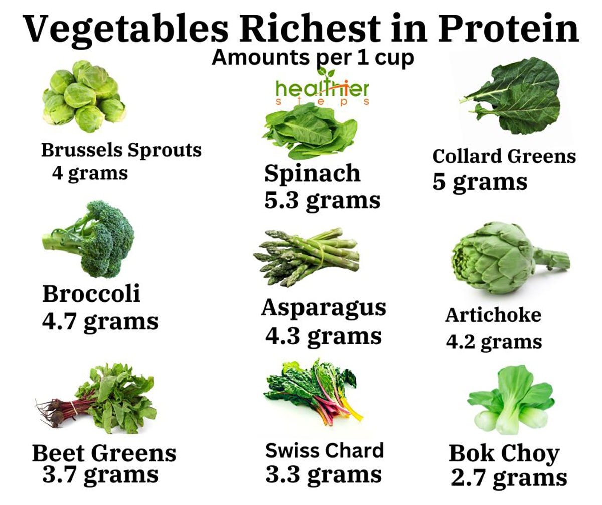 Green Vegetables Richest In Protein