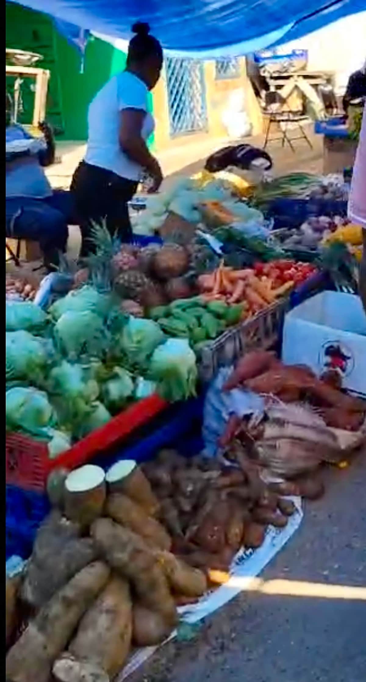 Vegan Jamaican Kitchen Staples: Your Essential Guide to Tasty Island Flavors