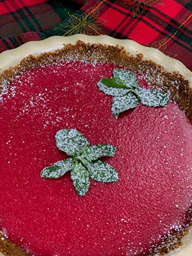 Nancy's Cranberry Gingersnap Pie
